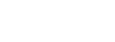 Luton Borough Council